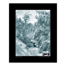 En drink från Hall's Brook - Poster finkonst