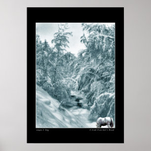 En dryck från Halls Brook Poster