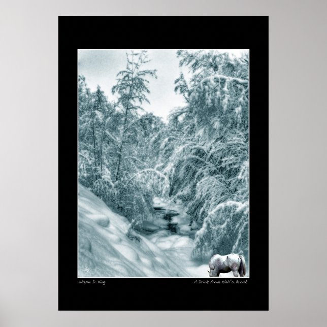 En dryck från Halls Brook Poster (Framsidan)