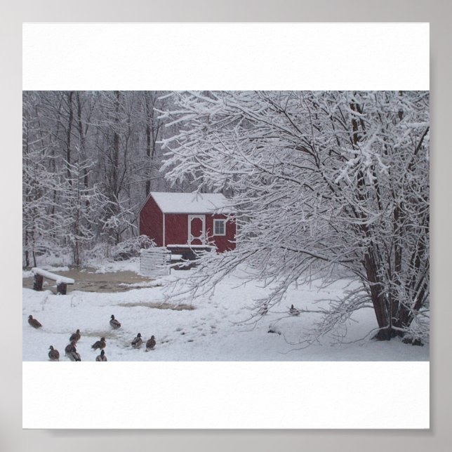 En Ducky-jul Poster (Framsidan)