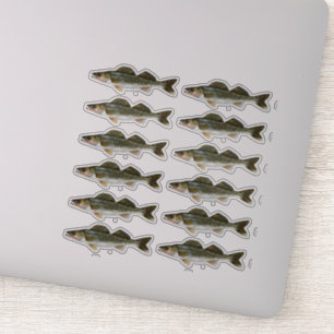 En dussin WalleyePike fisk Klistermärken
