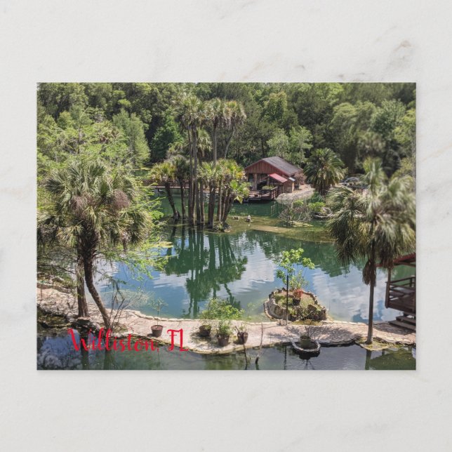 En eftermiddag vid Cedar Sjöar Vykort (Framsida)