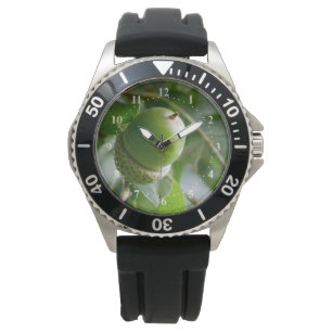 en ekfrukt armbandsur
