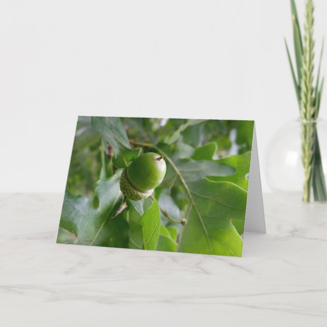 en ekfrukt kort (Framsida)