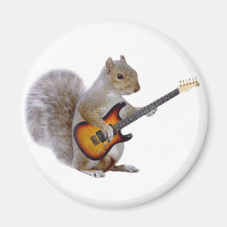 En ekorre som spelar Guitar Magnet