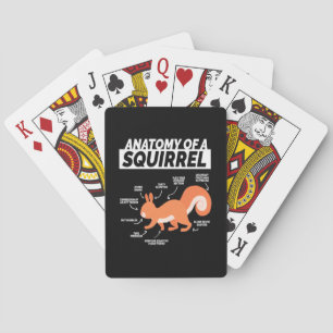 En ekorres anatomi casinokort