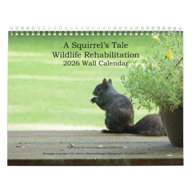 En ekorres berättelse 2026 Väggkalender Kalender (Omslag)