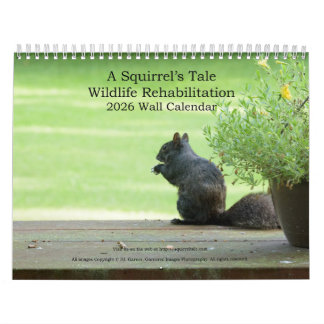 En ekorres berättelse 2026 Väggkalender Kalender