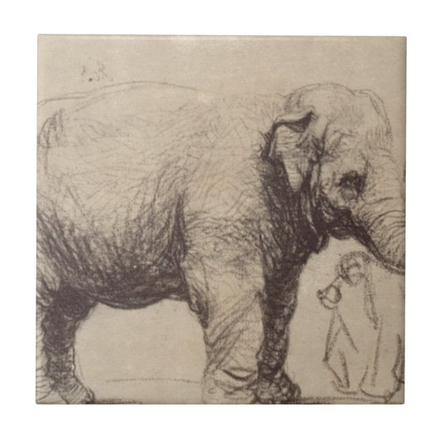 En elefant av Rembrandt Kakelplatta (Framsidan)