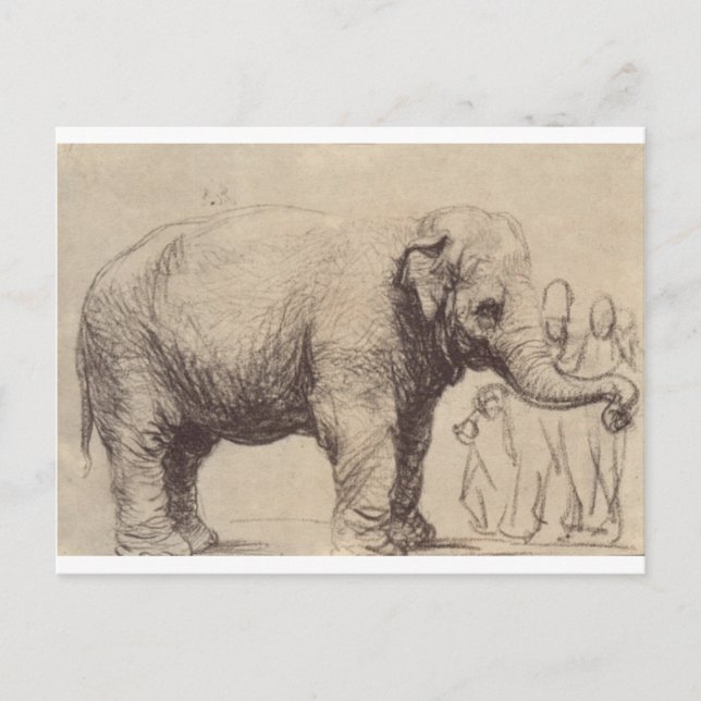 En elefant av Rembrandt Vykort (Framsida)