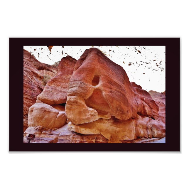 En elefant i Petra Fototryck (Framsidan)