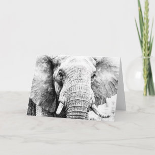En elefant som aldrig har glömts bort - tack för p kort