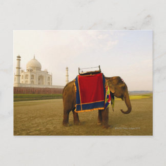 En elefants biprofil, Taj Mahal, Indien Vykort