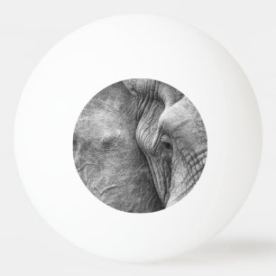 En elefants öga pingisboll