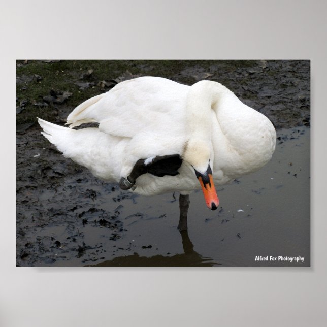 En elegant hälsning poster (Framsidan)