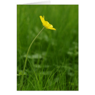 en enda blomma OBS kort