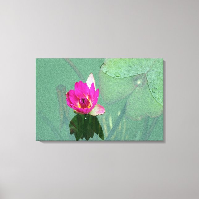 En enda rosa i dammen canvastryck (Framsida)