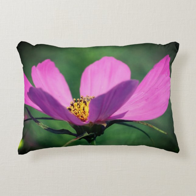 En enda Rosa kosmos blommar i blomman Prydnadskudde (Framsidan)