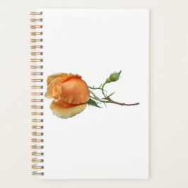 En enda styckning i ro