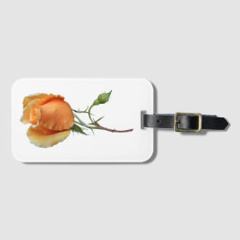 En enda styckning i ro bagagebricka