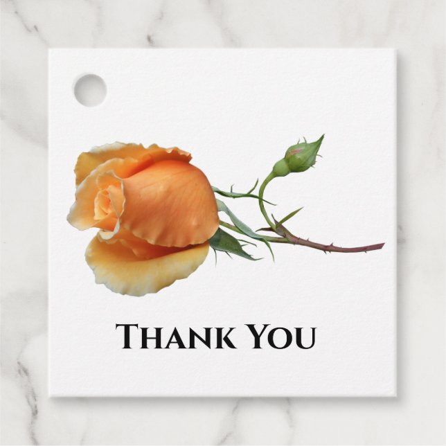 En enda styckning i ro gåvor etiketter (Framsida)