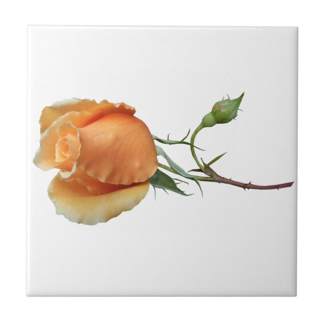 En enda styckning i ro kakelplatta (Framsidan)