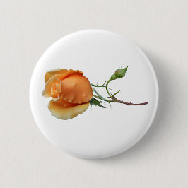 En enda styckning i ro knapp