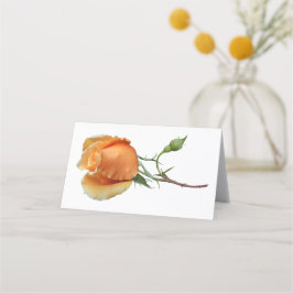 En enda styckning i ro placeringskort