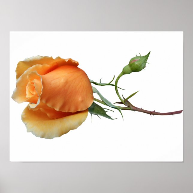 En enda styckning i ro poster (Framsidan)