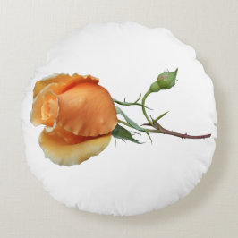 En enda styckning i ro rund kudde