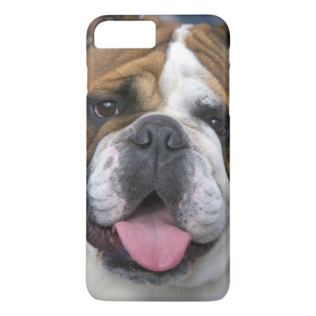 En engelsk bulldog i Belgien. Case-Mate iPhone Skal (Baksida)