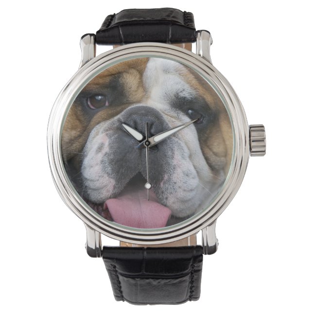 En engelsk bulldogg i Belgien. Armbandsur (Framsida)