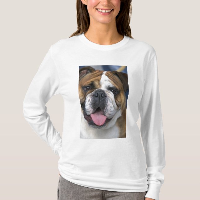 En engelsk bulldogg i Belgien. Tee (Framsida)