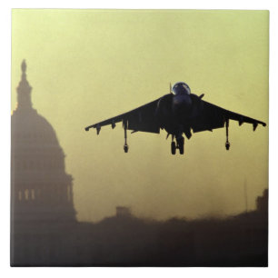 En engelsk harhundjetlandning på mallen på gryning kakelplatta