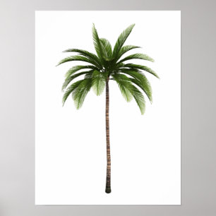 En enkel Roligt för den tropiska Beach-ön Träd Poster