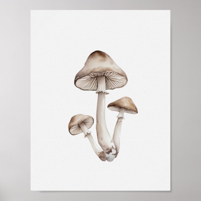 En enkel svamp poster (Framsidan)