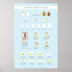 En enkel (visuell) guide till ägg poster