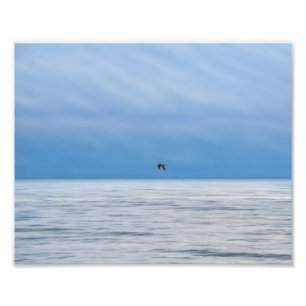 En ensam fågel över det dimmiga havet Fotografisk Fototryck
