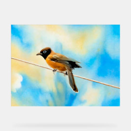 En ensam färglös fågel