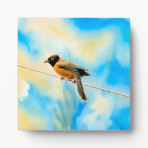 En ensam färglös fågel