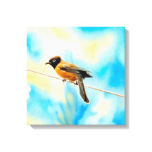 En ensam färglös fågel