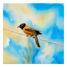 En ensam färglös fågel