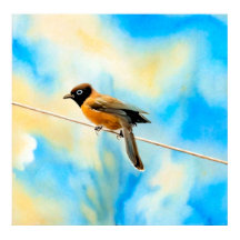 En ensam färglös fågel