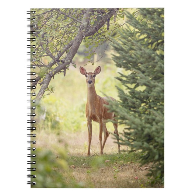 En ensam Hjort Anteckningsbok (Framsidan)