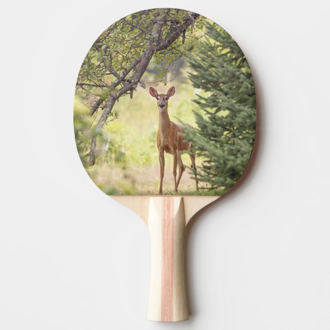 En ensam hjort pingisracket (Framsidan)