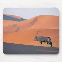 En ensam oryxantelope. musmatta