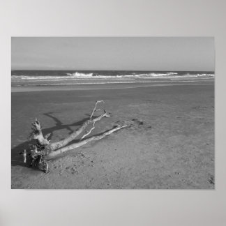 En ensam passering poster