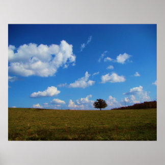 En ensam träd poster