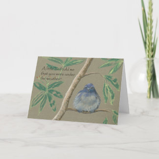 En fågel berättade lite mig att, få väl snart kort