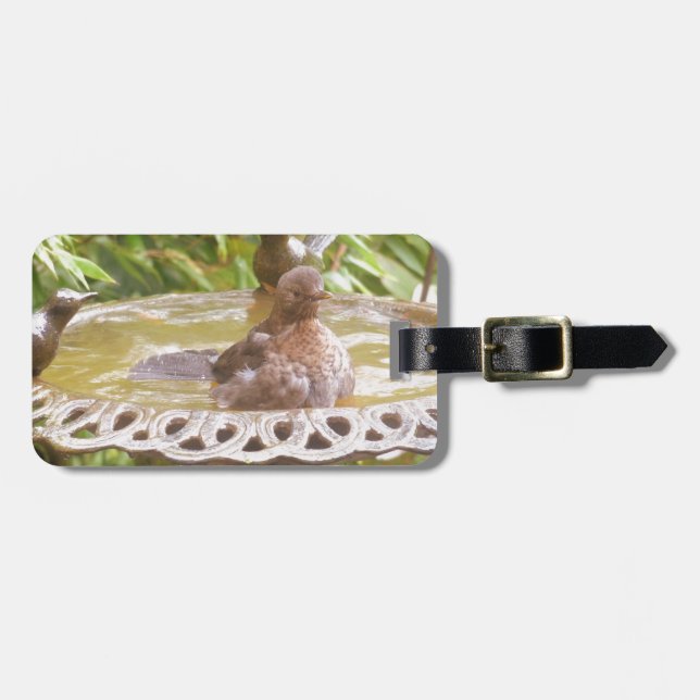 En fågel i badet bagagebricka (Horisontell Framsida)